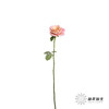 单头玫瑰 | 猪猪小姐 商品缩略图7