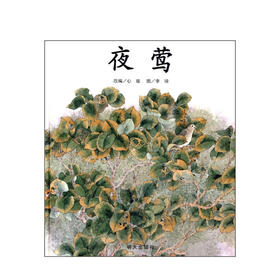 夜莺 信谊绘本原创图画书 心珑 编 儿童绘本