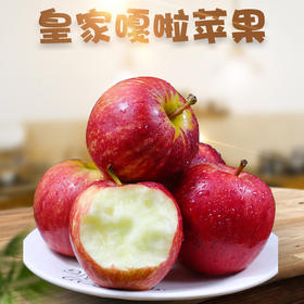 【顺丰直邮】甘肃精品皇家嘎啦苹果 5斤/10斤精品彩箱装 新鲜当季脆甜