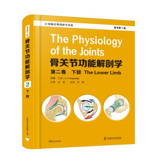 骨关节功能解剖学：第2卷下肢（原书第7版）   主译：刘晖    中科出版 商品图0