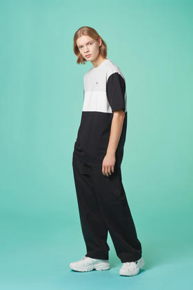 FILA斐乐韩国复古色块短袖T恤FS2RSC2135X_LGYJPY带授权招加盟代理