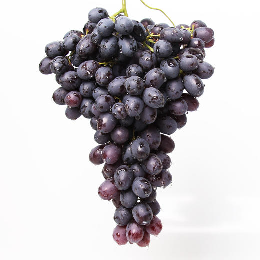 西域春新疆无核紫葡萄4斤【原产地直送,需预定】 - 宿报小店