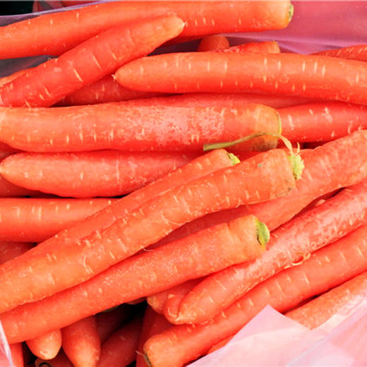 精品菜：红萝卜800g 商品图2