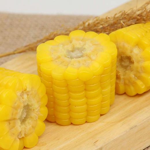 丨生态丨黄糯玉米  玉米 内蒙古河套平原 商品图1