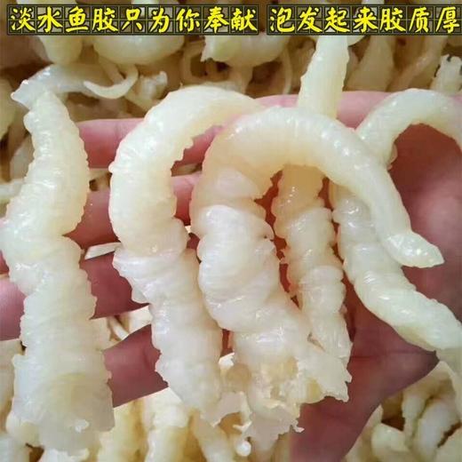 水发花胶鱼肚500克 商品图2