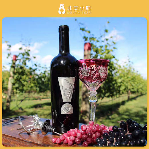 Pillitteri派利特瑞惊叹号品丽珠干红葡萄酒 #宁波仓 商品图1