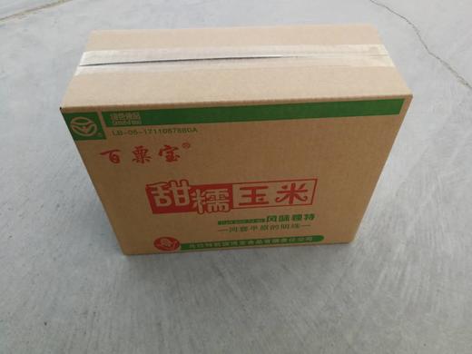 丨生态丨黄糯玉米  玉米 内蒙古河套平原 商品图5