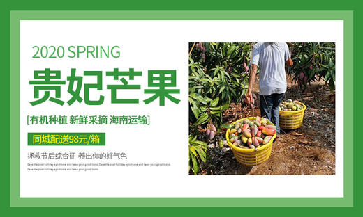 测试详情002 商品图3