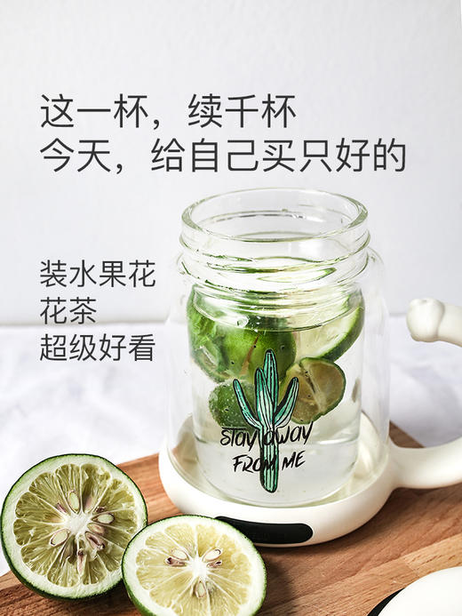 现货  正品韩国杯具熊猫咪商务保温杯不锈钢真空双层玻璃杯办公家用带手柄茶漏泡茶杯子 商品图5