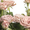 多头玫瑰 | 卡布奇诺 商品缩略图6