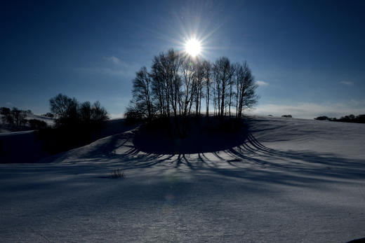 乌兰布统冬季牧歌丨林海雪原、冰湖&雾凇、雪地跑马、牛羊牧归6天摄影团 商品图1