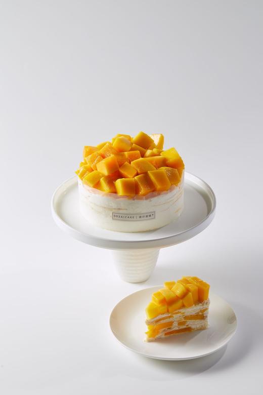 芒果千层-8寸 商品图0