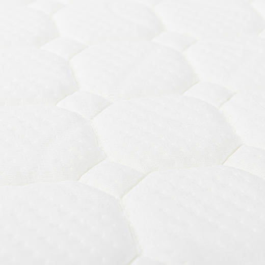 英氏床垫 椰棕记忆棉床垫芯 可拆洗床垫套 176202 商品图1