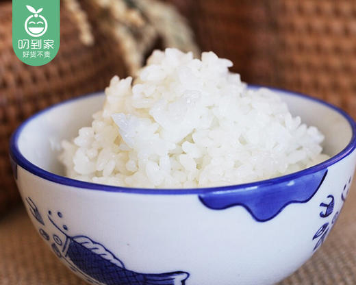 盘珠盘锦蟹田大米/1袋（5kg）生产日期 26年2月 商品图3