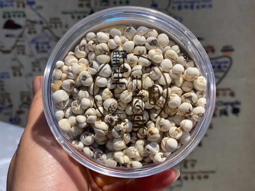 野生川贝母50g，100g 商品图1