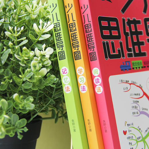 少儿思维导图（全3册）全彩版 附赠精美卡片   6-14岁  阅读法+学习法+记忆法 商品图5