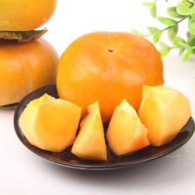 【农场直发】云南 甜脆柿子 5斤 中果/大果