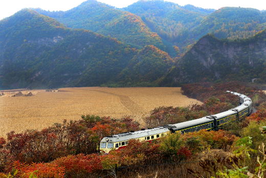 10月5日出发，东北内蒙秋色·辽宁本溪红叶、奈曼旗沙漠、怪柳8天摄影 商品图10