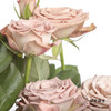多头玫瑰 | 卡布奇诺 商品缩略图3