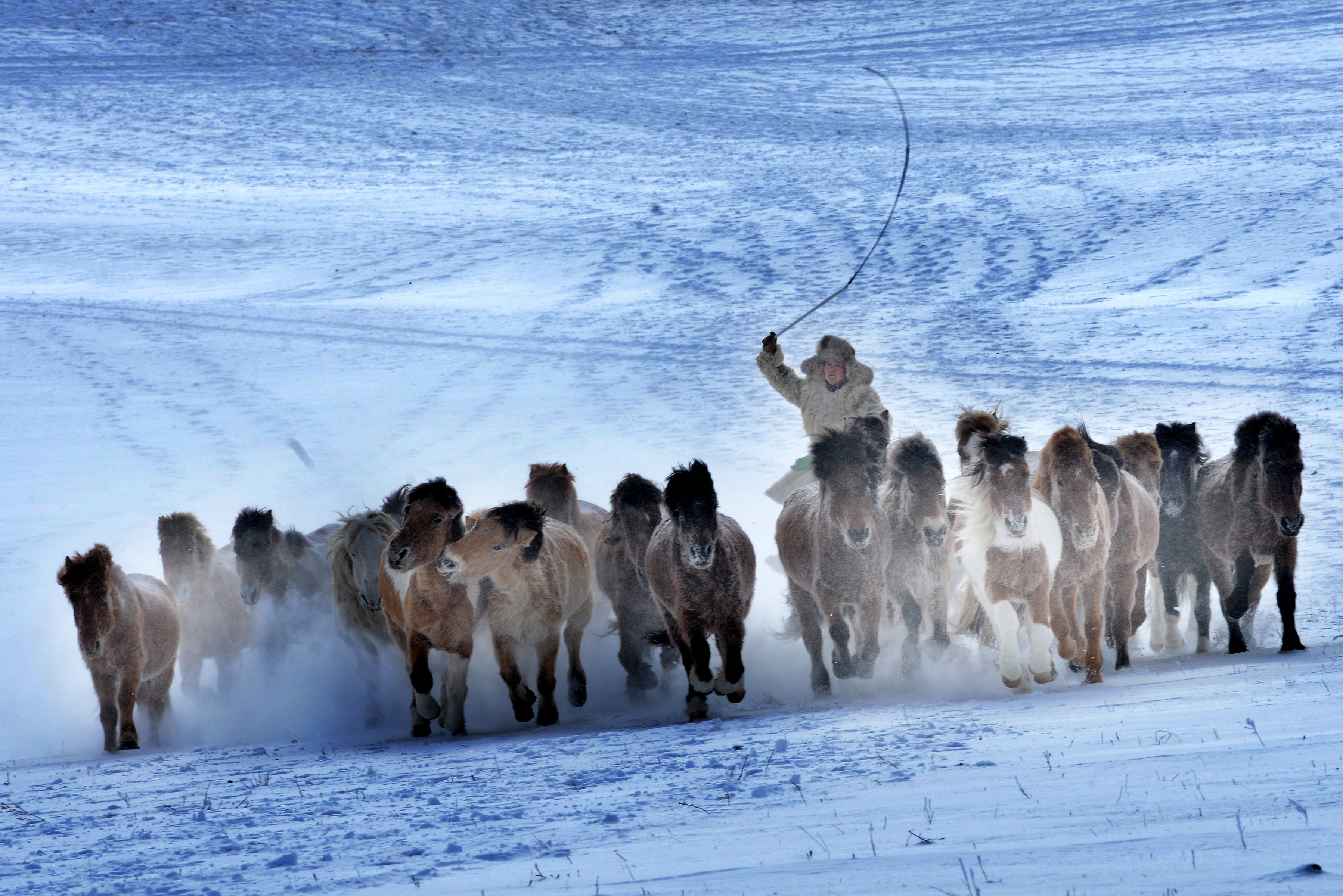 乌兰布统冬季牧歌丨林海雪原、冰湖&雾凇、雪地跑马、牛羊牧归6天摄影团