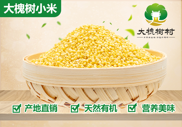 【大槐树优品】农家自产小米500g*5