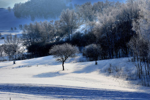 乌兰布统冬季牧歌丨林海雪原、冰湖&雾凇、雪地跑马、牛羊牧归6天摄影团 商品图4