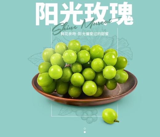 韶山金景丰阳光玫瑰葡萄 商品图0