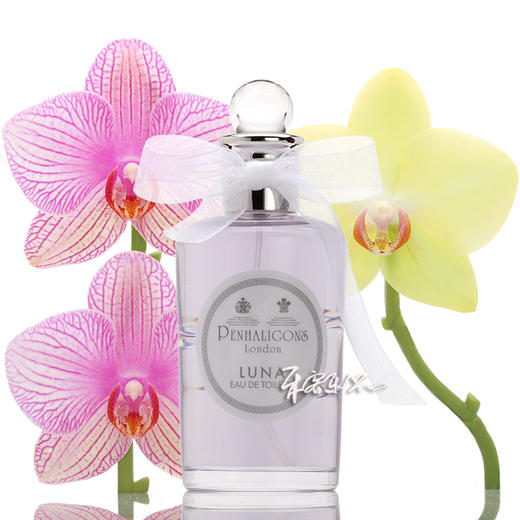 Penhaligon's潘海利根 月亮女神香水LUNA 小样/正装 商品图0
