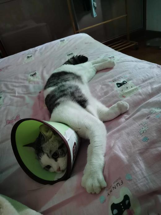 ！@##%%……*（））<>!@#$%^&*()_+ 商品图0