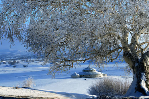 乌兰布统冬季牧歌丨林海雪原、冰湖&雾凇、雪地跑马、牛羊牧归6天摄影团 商品图2