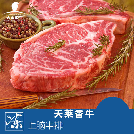 鲜B上脑 商品图2