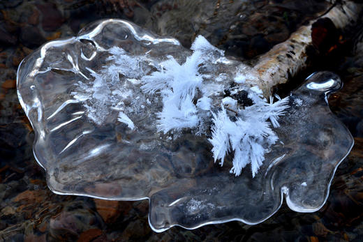 乌兰布统冬季牧歌丨林海雪原、冰湖&雾凇、雪地跑马、牛羊牧归6天摄影团 商品图7