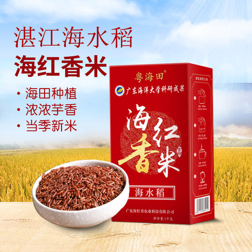 海水稻米 2斤/盒 海边种植 红米 商品图5