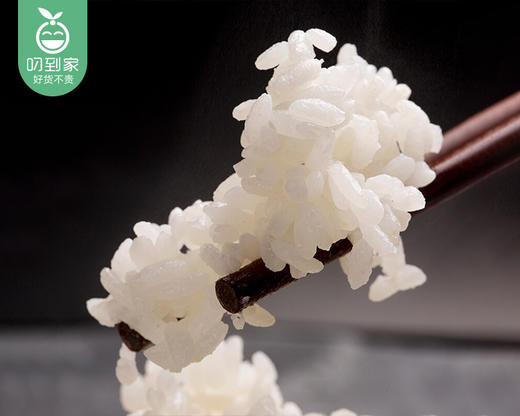 盘珠盘锦蟹田大米/1袋（5kg）生产日期 26年2月 商品图2