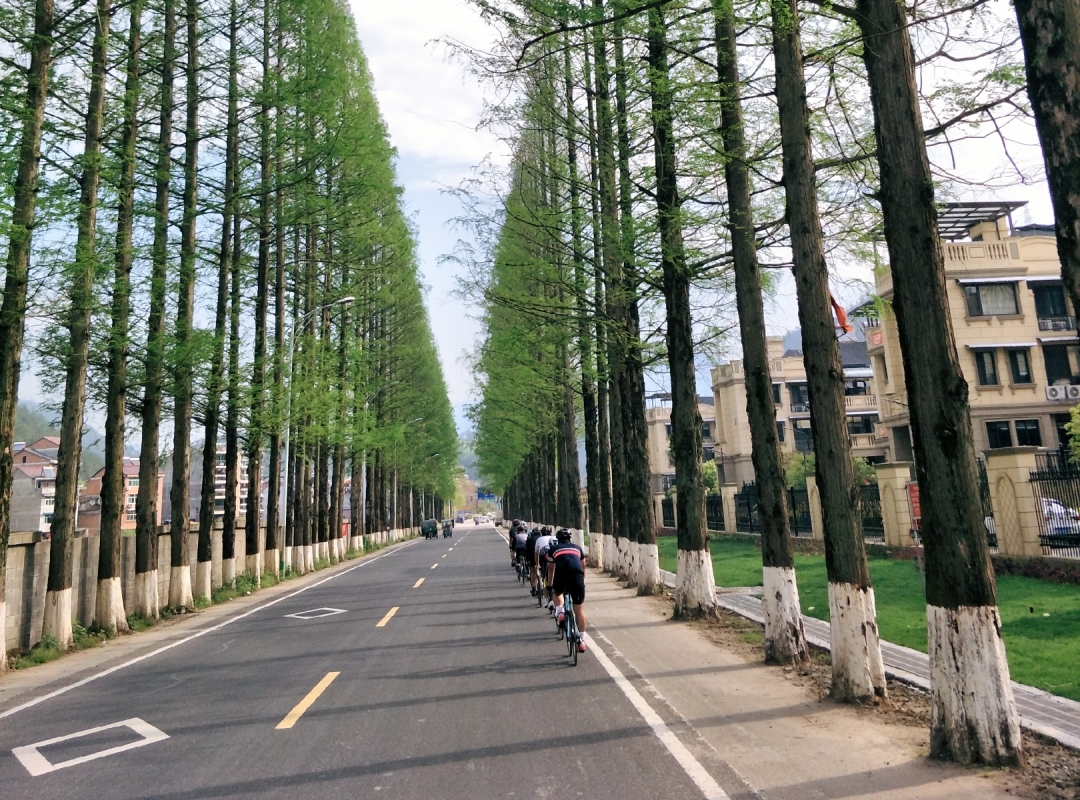 一起骑吧| “跳岛旅行”---长兴岛&横沙岛 单日休闲骑行 9月26日