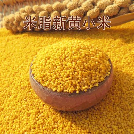 正宗陕北米脂黄小米500/1000克袋装 商品图3