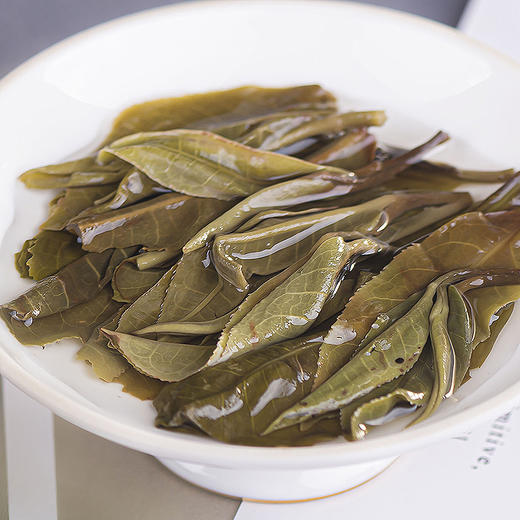 【会员专享 预售8折 买5送1】2026《冰岛老寨》古树春茶 200克/饼 生茶 商品图3