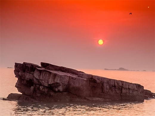 五一3日【长岛】海上仙山长岛の蓬莱-长岛-庙岛-万鸟岛-月亮湾-与海鸥为伴 商品图2