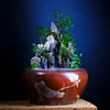 紫器丹青  盆栽风水缸 商品缩略图0