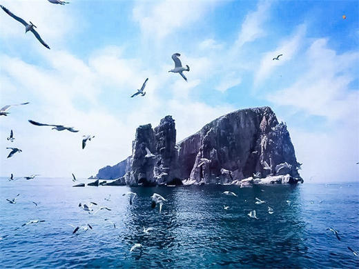 五一3日【长岛】海上仙山长岛の蓬莱-长岛-庙岛-万鸟岛-月亮湾-与海鸥为伴 商品图1