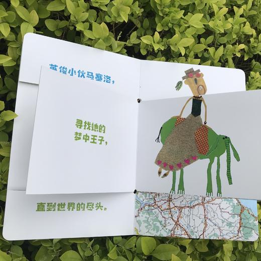 千变万化的书 商品图5