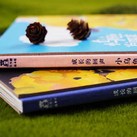 【赵健的读书日记】乐乐趣-成长的回声（2册） 商品图10