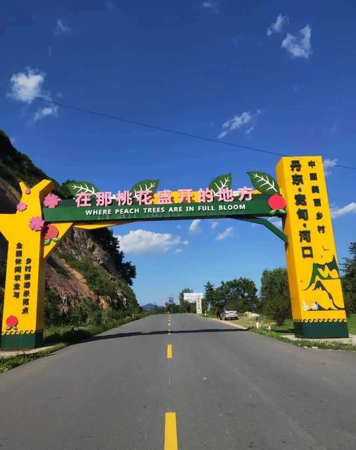 (产地直发）正宗丹东河口燕红桃特级果 一箱10斤，约400g每个*12 商品图2