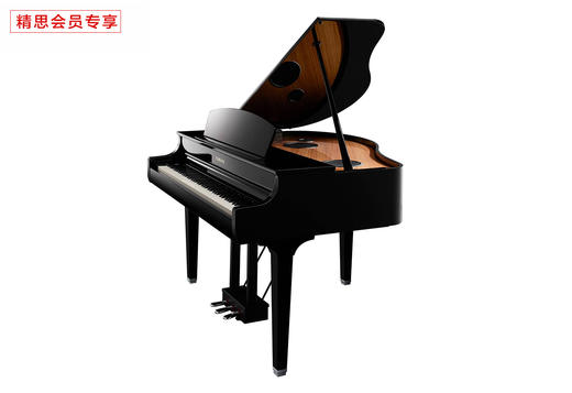 yamaha雅馬哈clp695clavinova系列電三角鋼琴