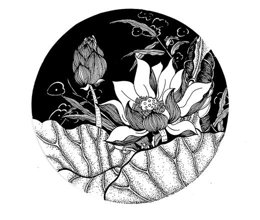 《线描荷花》【自动发货：下单后，点击手机短信中收到的链接，即可获取文件下载的链接；如有任何问题，可添加客服微信hm33268获得帮助】
 商品图0