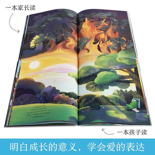 【赵健的读书日记】乐乐趣-成长的回声（2册） 商品图5