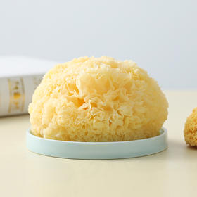 【整朵古田银耳】·已去根 燕之坊金汤银耳125g 泡发率高 淡黄无暇 质干不碎 胶质十足 古田金窝银耳 软糯可口 瓶装