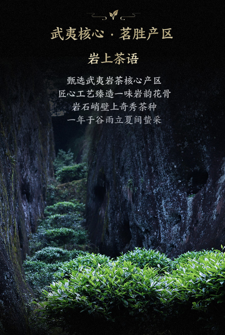 岩语若水试饮集大红袍水仙肉桂组合特级乌龙茶中足火岩茶255g