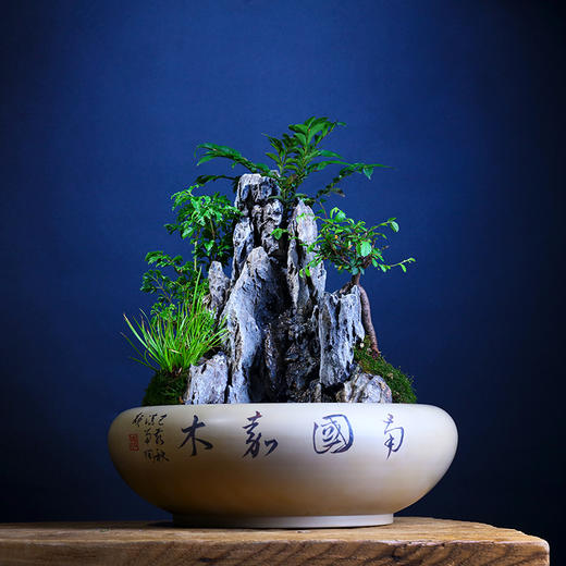 紫器丹青  盆栽风水缸 商品图0