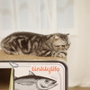 Tinklylife 鱼罐头 猫窝猫抓板 商品缩略图3